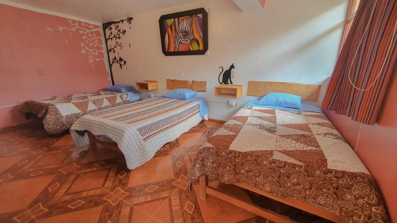 Vacahouse 2 Eco-Hostel Huaraz  Exterior foto