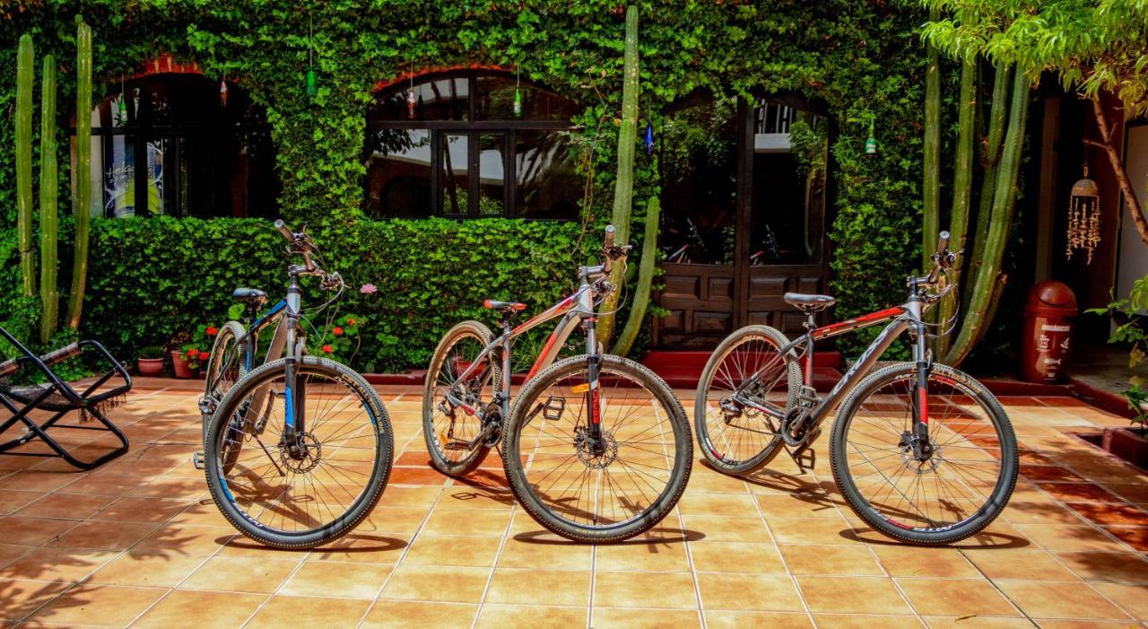Vacahouse 2 Eco-Hostel Huaraz  Exterior foto